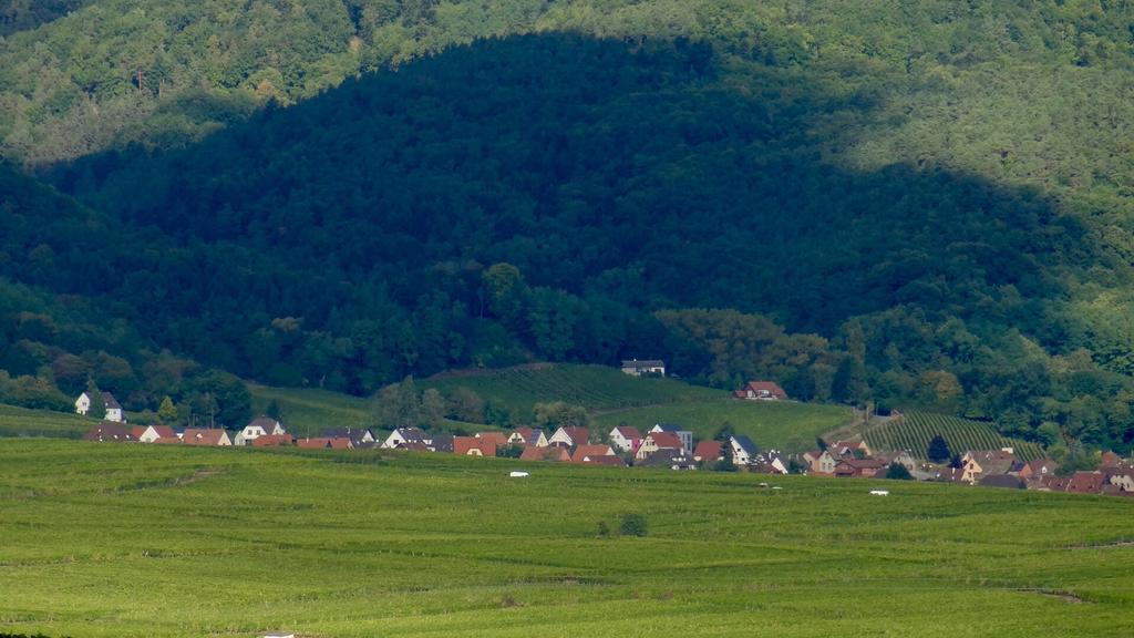 Vila Birgele Riquewihr Exteriér fotografie